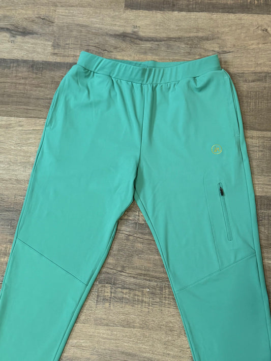 IN Speedster Joggers (Sea Foam)