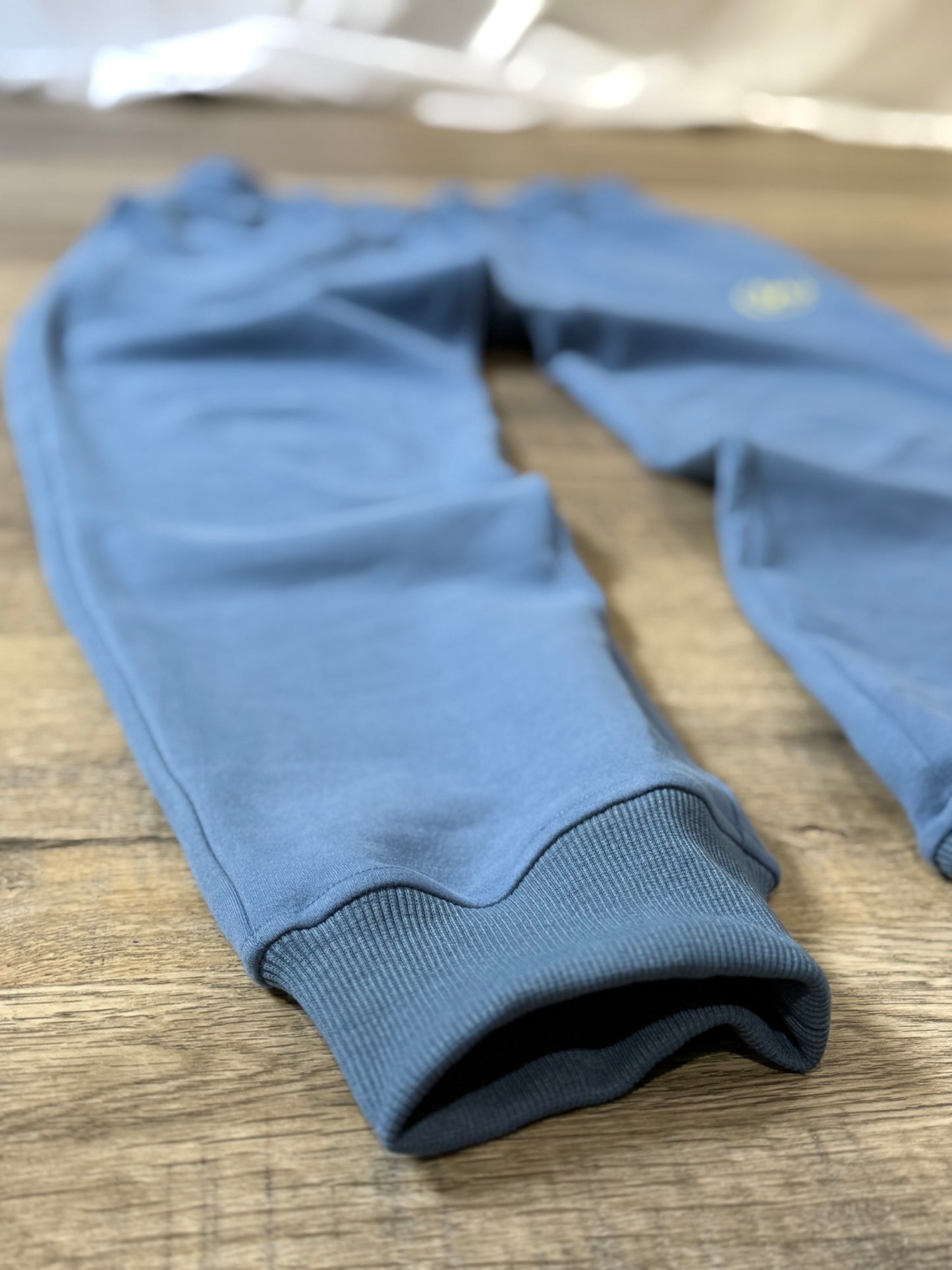 AeroLuxe Joggers (Blue)